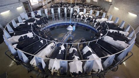 are industrial agriculture and factory farming the same